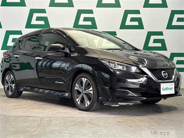 2019 Nissan Leaf