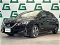 2019 Nissan Leaf