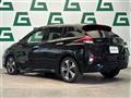 2019 Nissan Leaf