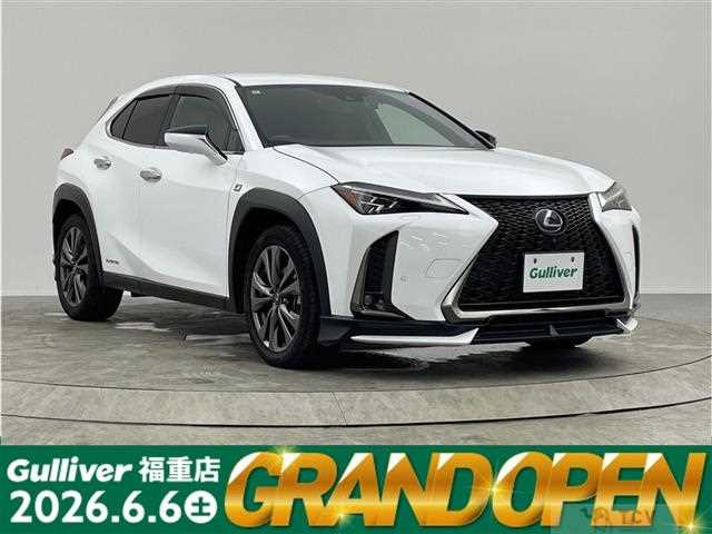 2020 Lexus UX