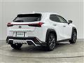 2020 Lexus UX