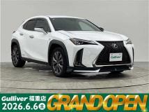 2020 Lexus UX