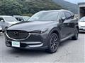 2019 Mazda CX-8