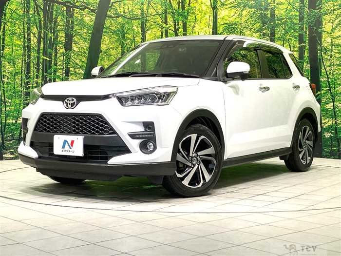 2019 Toyota Raize