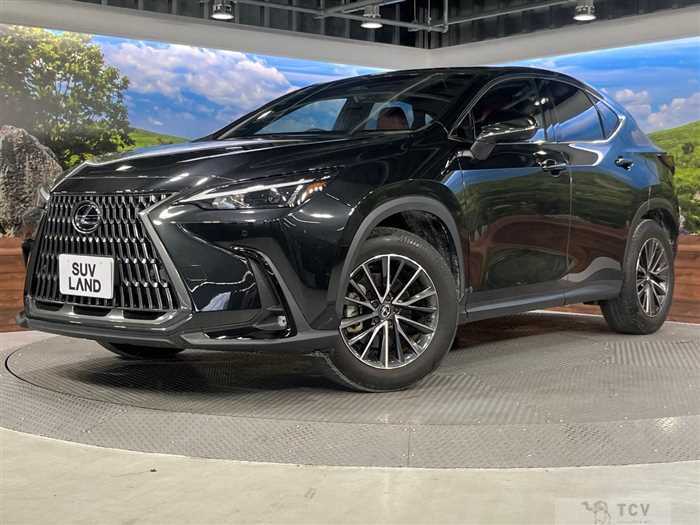 2023 Lexus NX