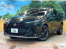 2022 Lexus NX