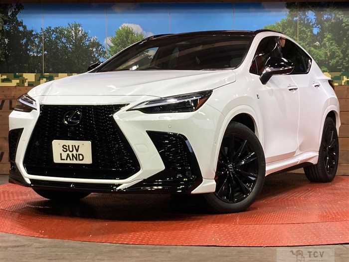 2023 Lexus NX