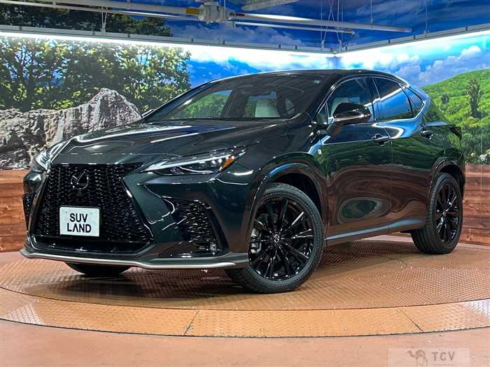 2024 Lexus NX