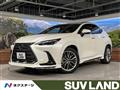 2024 Lexus NX