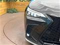 2025 Lexus NX