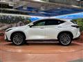 2023 Lexus NX