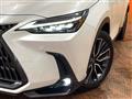 2024 Lexus NX