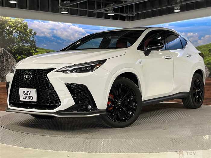 2024 Lexus NX