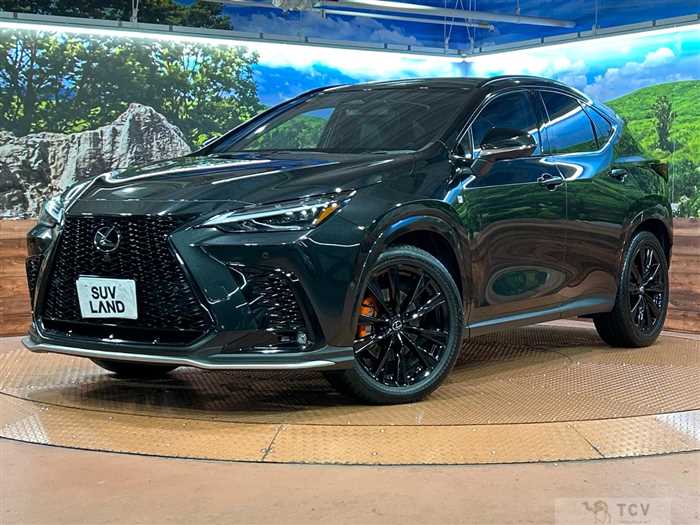 2025 Lexus NX