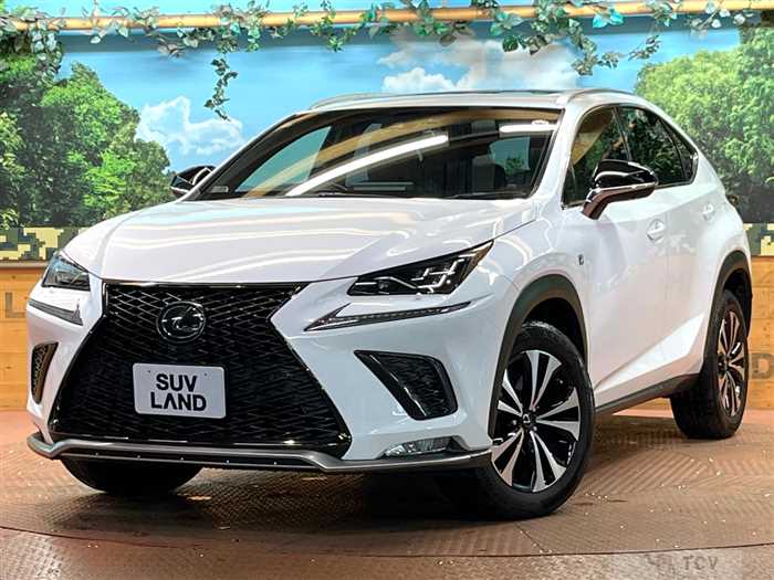 2018 Lexus NX