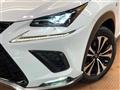 2018 Lexus NX