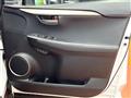 2018 Lexus NX
