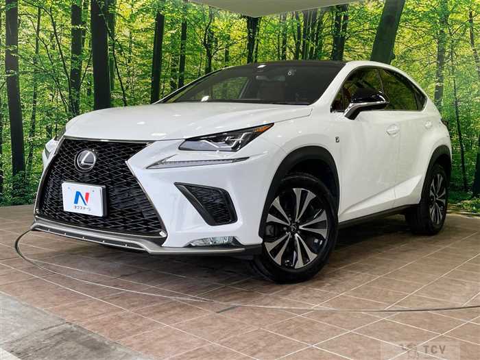 2018 Lexus NX