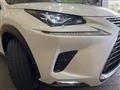 2020 Lexus NX