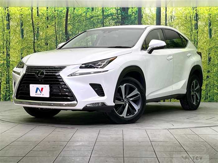 2018 Lexus NX