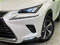 2018 Lexus NX