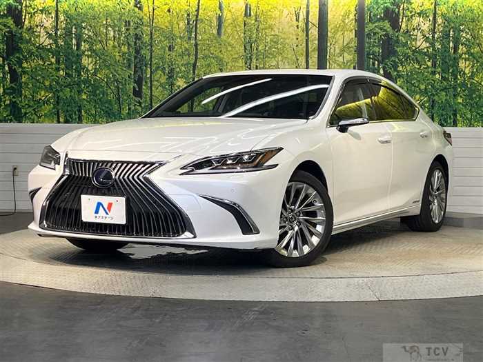 2019 Lexus ES