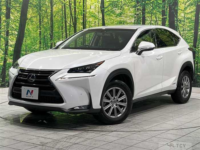 2016 Lexus NX