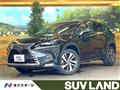 2018 Lexus NX