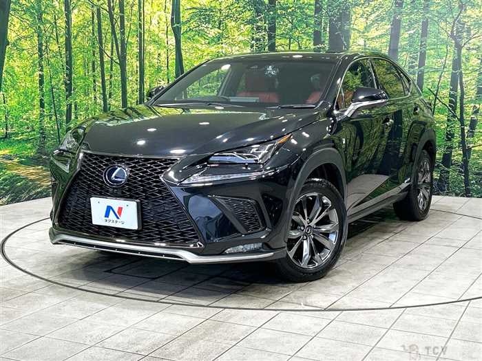 2019 Lexus NX