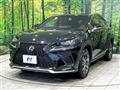 2019 Lexus NX