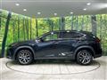 2019 Lexus NX
