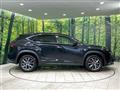 2019 Lexus NX