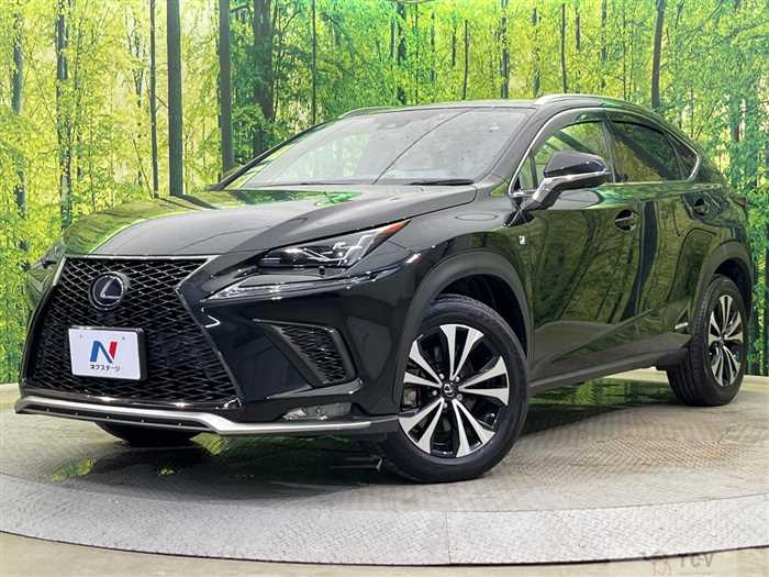 2019 Lexus NX