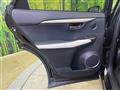 2019 Lexus NX