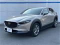2022 Mazda Mazda Others