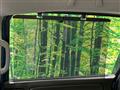 2023 Honda Freed
