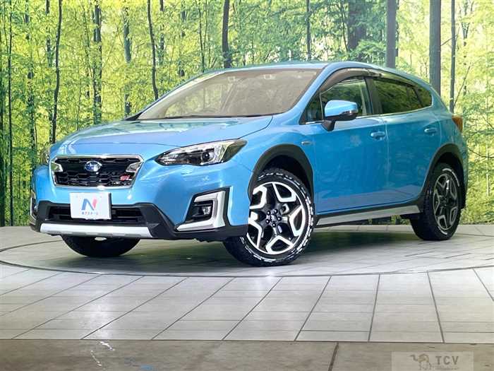 2019 Subaru Subaru Others