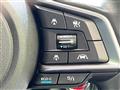 2019 Subaru Subaru Others