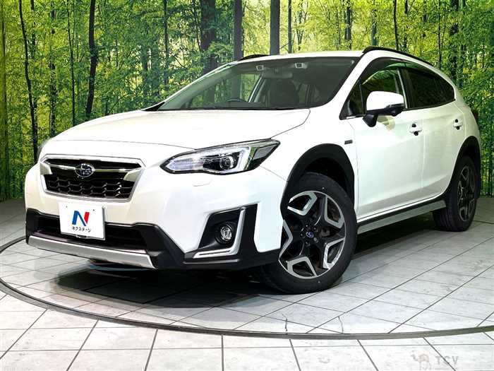 2019 Subaru Subaru Others