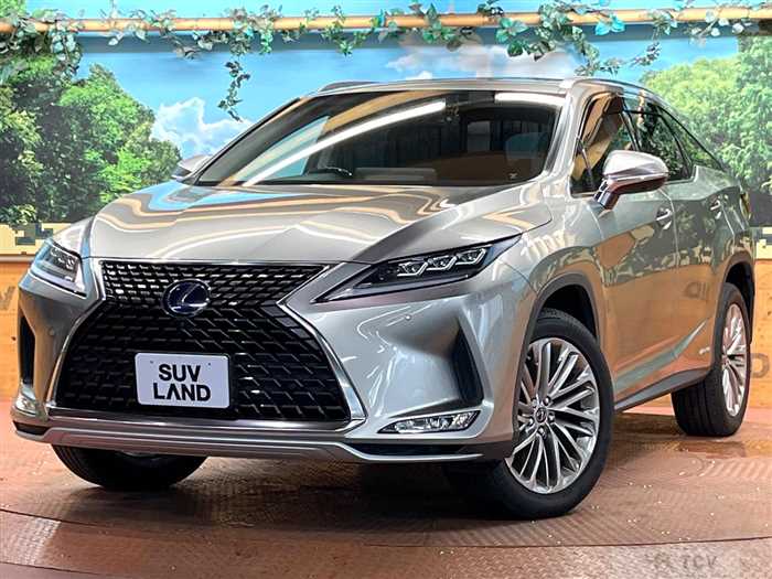 2019 Lexus RX