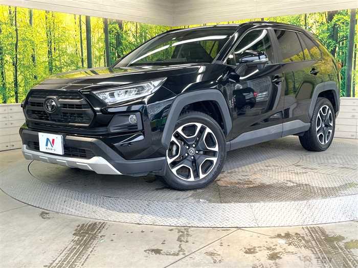 2019 Toyota RAV4