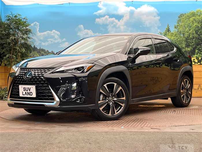 2019 Lexus Other