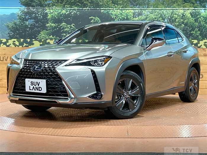 2019 Lexus Other