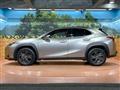 2019 Lexus Other