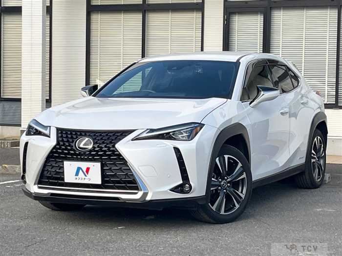 2019 Lexus Other
