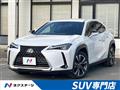 2019 Lexus Other