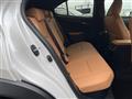2023 Lexus Other