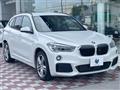 2018 BMW X1