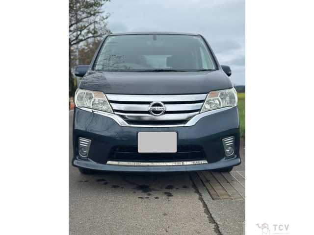 2011 Nissan Serena