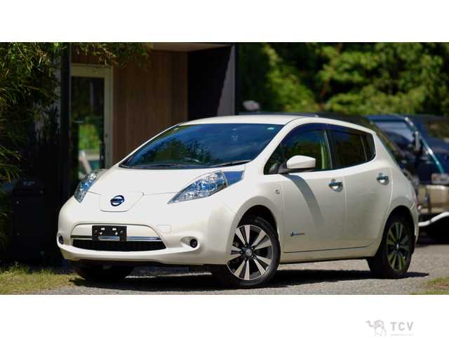 2017 Nissan Nissan Others